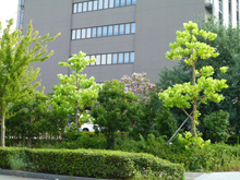 神戸研究所キャンパス
