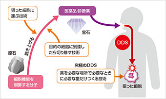 ドラッグデリバリーシステム（DDS）の研究開発の概念図の画像