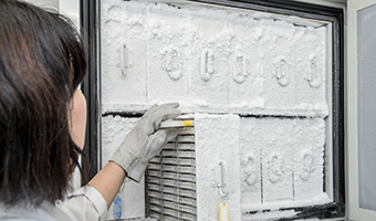 植物の遺伝子材料を-80℃で保存している超低温冷凍庫の写真
