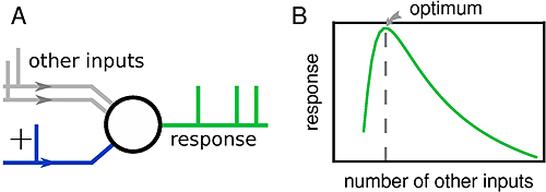 schematic and graph showing cooperation of synapses