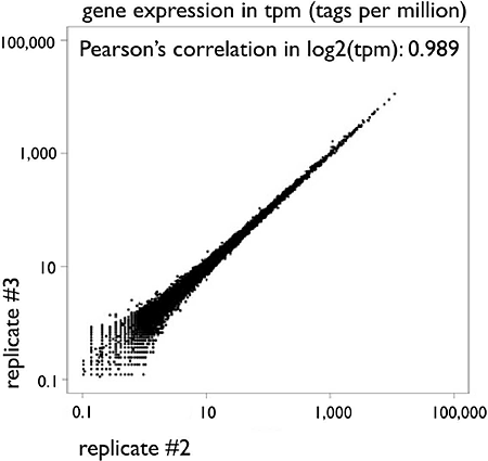 Scatter plot of gene expressions between two technical replicates of HeliScopeCAGE on THP-1 RNA
