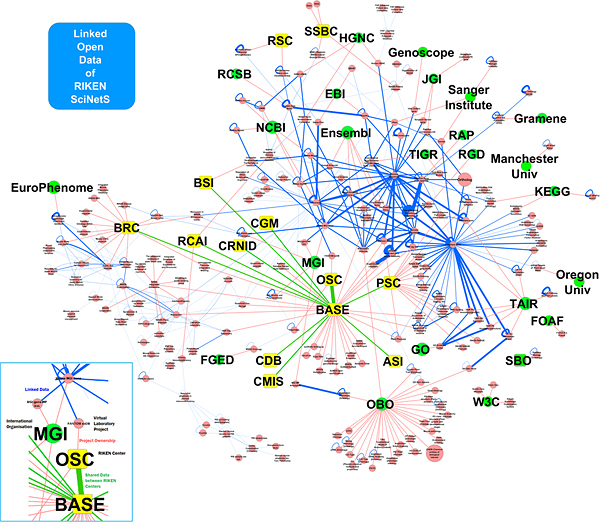 Image showing the network of databases on RIKEN SciNetS