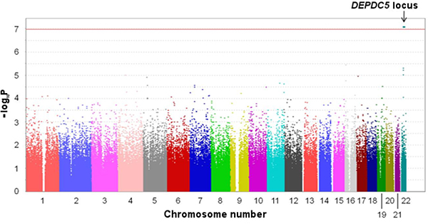 Figure showing results of genome-wide association study (GWAS) on HCV-related HCC