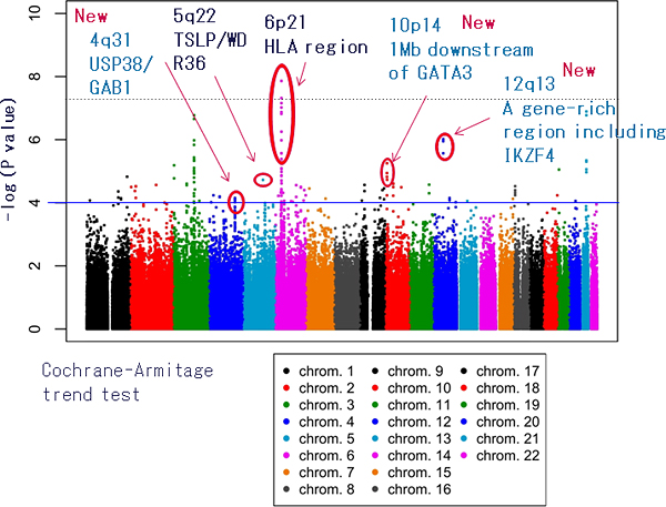 Figure showing results of genome-wide association study on adult asthma