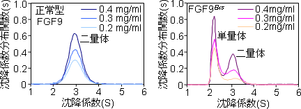 FGF9Eksは正常型FGF9に比べ二量体を形成しにくいの図