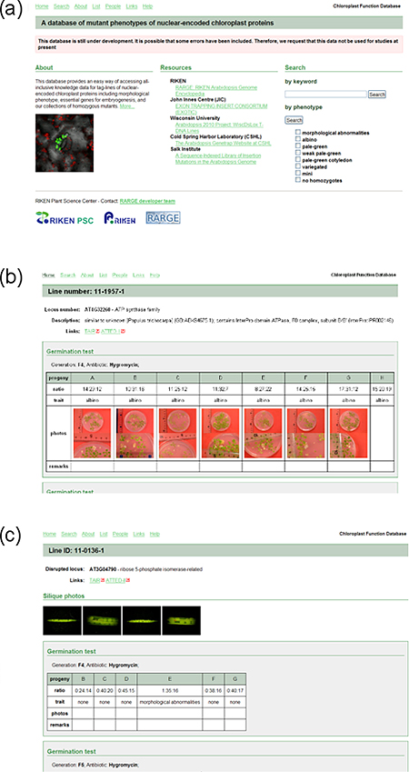 The Chloroplast Function Databaseの画像