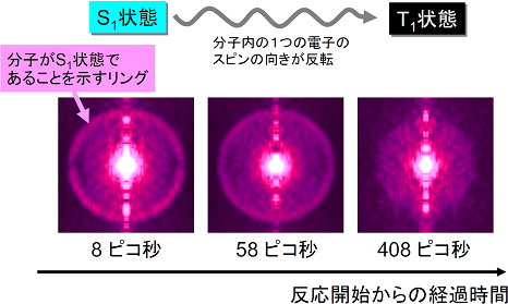 反応途上の分子の電子状態をとらえた光電子イメージの図