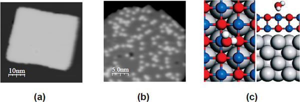 銀単結晶表面上に作成したMgO薄膜の様子の図