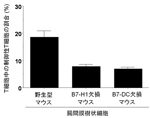 腸間膜樹状細胞による卵白アルブミン特異的制御性T細胞の誘導の図