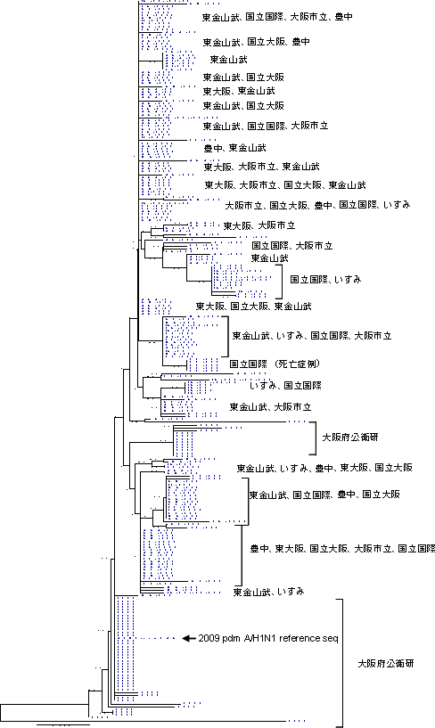 2009 pdm A(H1N1)の国内遺伝子変異の様子の図