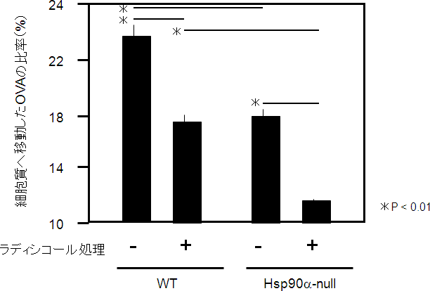 エンドソームから細胞質へ移動したAF647－OVAの比率の図