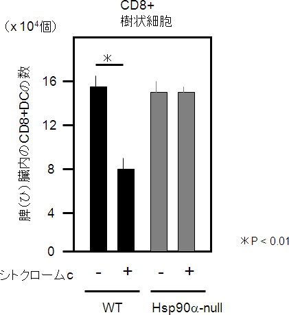 マウス個体でのシトクロームcの効果の図