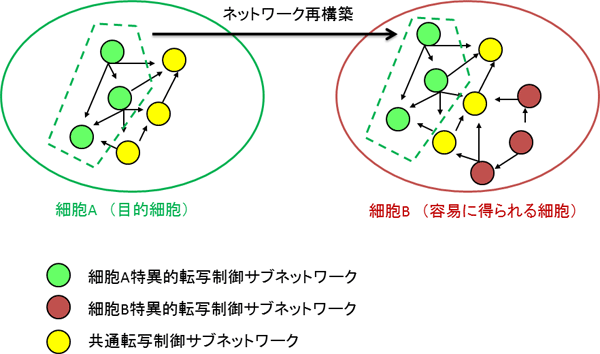 ネットワーク再構築の概念図の画像