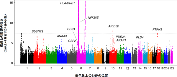 日本人関節リウマチにおけるゲノムワイド関連解析のメタ解析結果の図