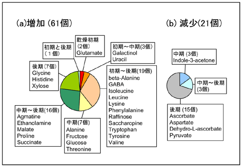 野生型シロイヌナズナにおける乾燥ストレス応答性代謝物質（82個）の図