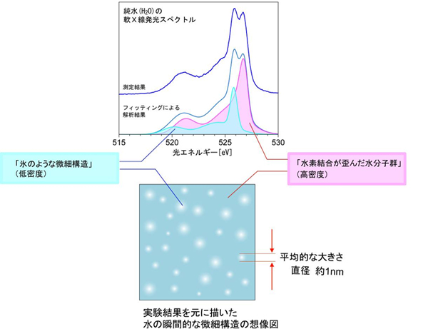 これまでの軟X線発光、X線ラマン散乱、X線小角散乱の実験データーを元に作成した想像図の画像