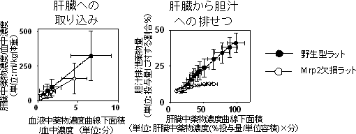 組織への取り込み、胆汁排せつにかかわる速度関連パラメータ（クリアランス）の算出の図