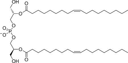ビス（モノアシルグリセロ）リン酸（BMP）の図