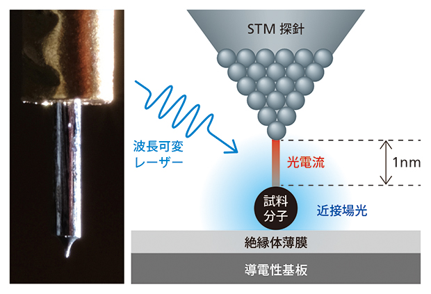 研究室で作製した探針（左）と光STMを用いた単一分子の光電流計測の仕組み（右）の写真