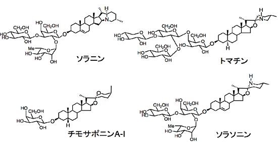 ナス科植物に含まれるステロイド化合物の図