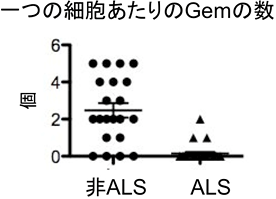 ALS患者の脊髄運動神経細胞Gemが減少している図(一つの細胞あたりのGemの数)