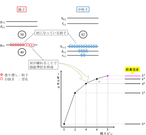 　128Pdの配位（上）と「特別な核異性体」の発生メカニズム（下）の図