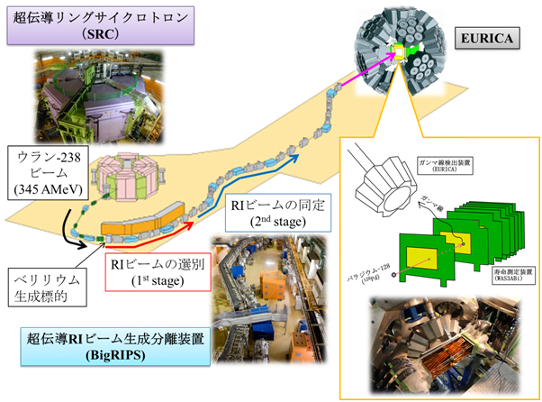 実験装置の全体像の図