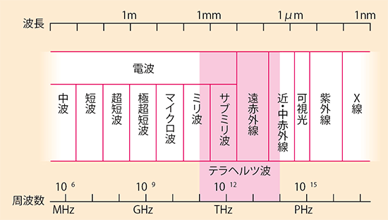 テラヘルツ波の図