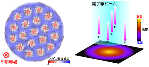 数値シミュレーションで使用したセットアップの図