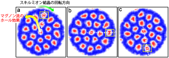 数値シミュレーションによる温度勾配がある場合のスキルミオン結晶の回転運動の図