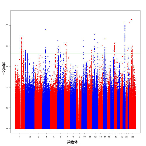多人種での前立腺がんのゲノムワイドSNP関連解析の結果の図