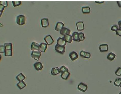photos of lysozyme protein crystals