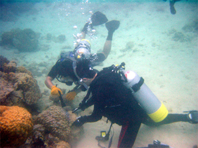 サンゴ採集現場（2002年、沖縄）の写真