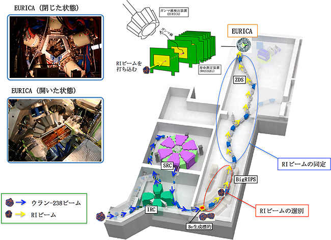 実験装置の全体像の図