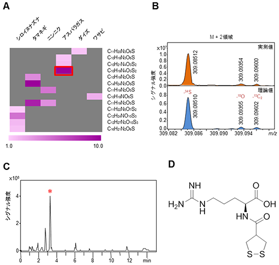 含硫黄代謝物特異的分析（S-オミクス）によるアスパラプチンの発見の図