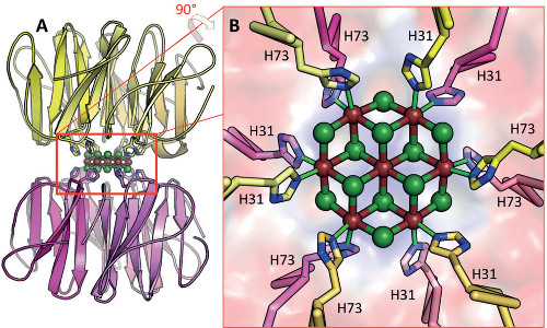 The crystal structure