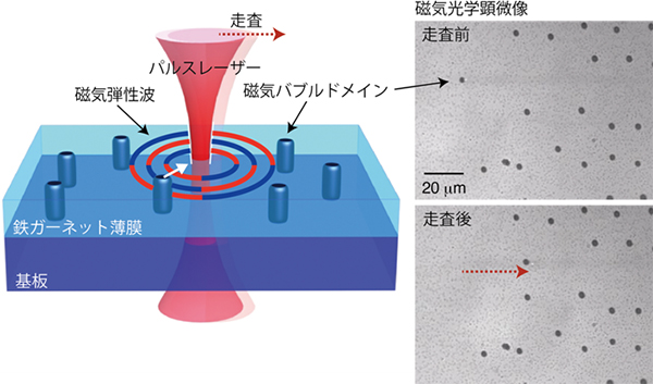磁気弾性波発生の模式図と磁区駆動の磁気光学顕微鏡写真の図