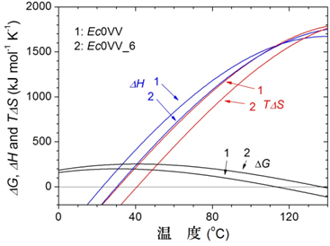 Ec0VV(1)とEc0VV_6(2)の変性の熱力学的パラメータの温度関数の図