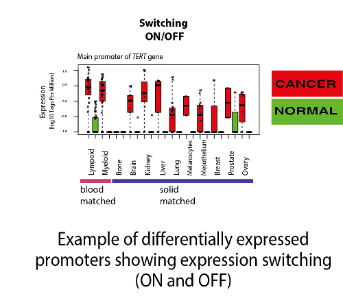 Changes in gene expression