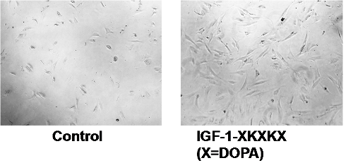 Photos showing enhanced cell growth with treatment