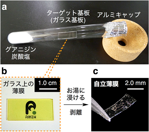 薄膜アクチュエーターの合成手法の図