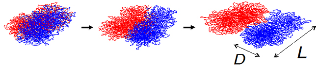 分子動力学シミュレーションを用いた高分子分離の例の図