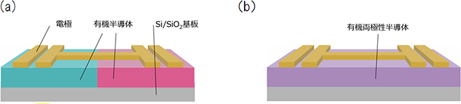 有機半導体と有機両極性半導体を用いたデジタル回路（CMOSインバータ）の図