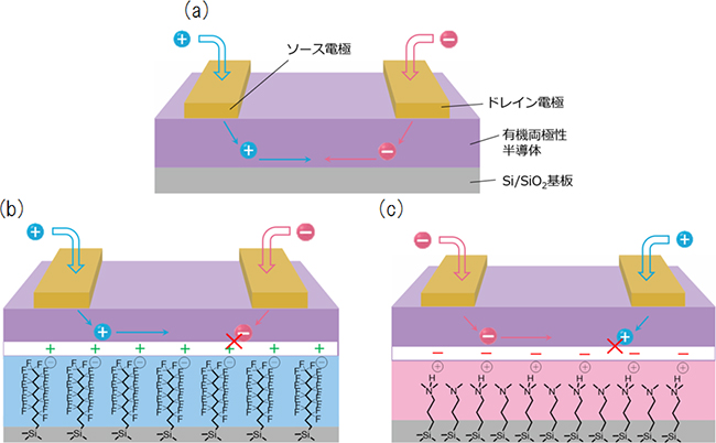 有機両極性半導体中を流れるキャリア種の制御の図