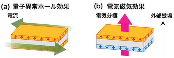 トポロジカル絶縁体積層薄膜における量子異常ホール効果と電気磁気効果の概念図の画像