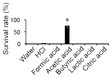 Graph showing effect of different treatments