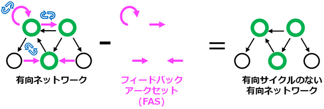 フィードバックアークセット（FAS）の説明図の画像