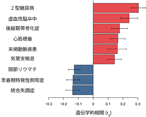 体重と病気の遺伝学的相関の図