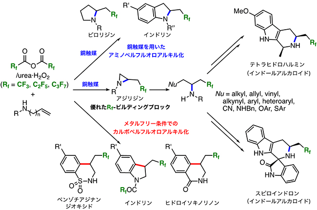 多様なペルフルロアルキル基を持つアミン類への誘導化の図