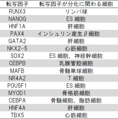 今回解析を行った15種の転写因子の図